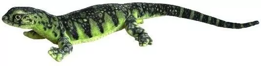 Dubi. Waran zielony 80cm - tantis.pl