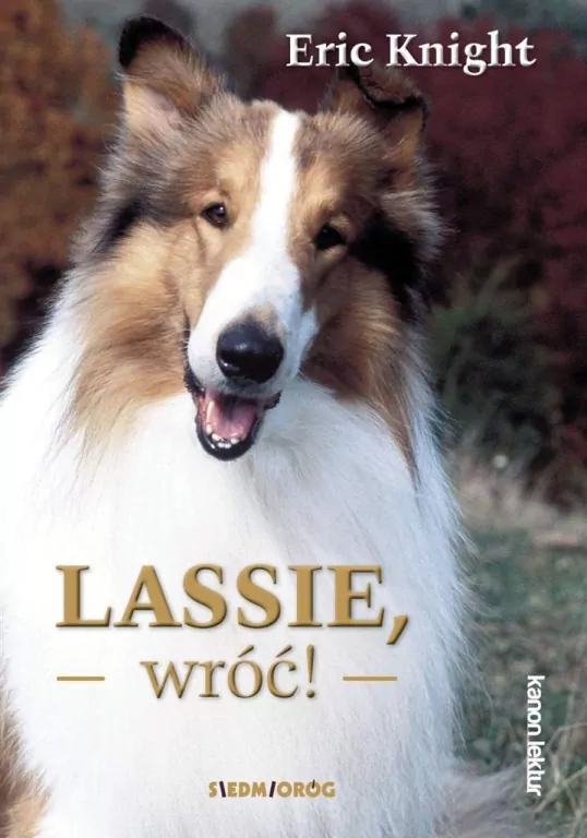 Lassie, wróć! Książka. Eric Knight - tantis.pl