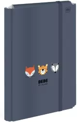Teczka z gumką A4+ Bebe Kids Boys