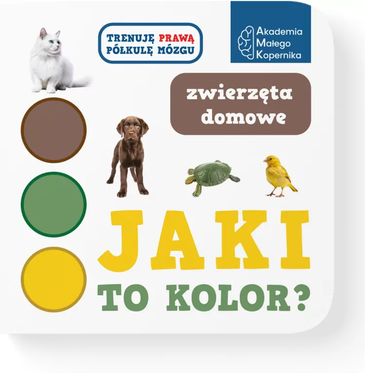 Jaki to kolor? Zwierzeta domowe - tantis.pl