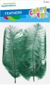 OZDOBA PIORKA 15-20CM 2SZT ZIEL CF 12/864 - tantis.pl