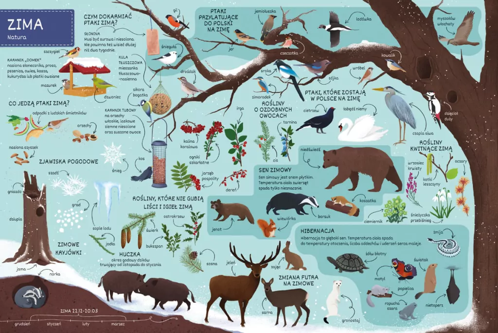 Pory roku. Co jest w środku? - tantis.pl