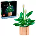 LEGO®. Botanical Collection. Skrzydłokwiat. 11504 - tantis.pl