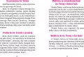 Modlitewnik czcicieli św. Teresy z Lisieux - tantis.pl