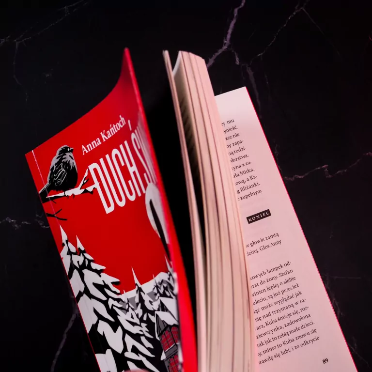 Duch świąt - gra paragrafowa MUDUKO - tantis.pl