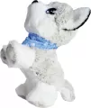 Happy Husky. Chi Chi Love - tantis.pl