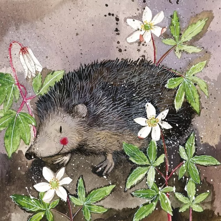 Podkładka pod kubek C121 Jeż Prickly - tantis.pl