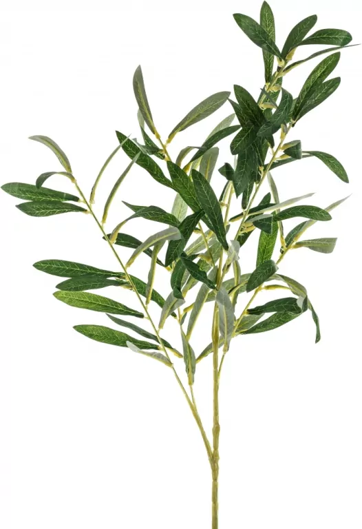 Gałązka oliwna 91cm - tantis.pl