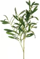 Gałązka oliwna 91cm - tantis.pl