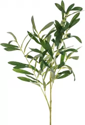 Gałązka oliwna 91cm