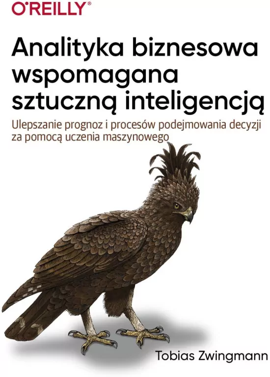 Analityka biznesowa wspomagana sztuczną inteligencją - tantis.pl