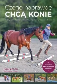 Czego naprawdę chcą konie - tantis.pl