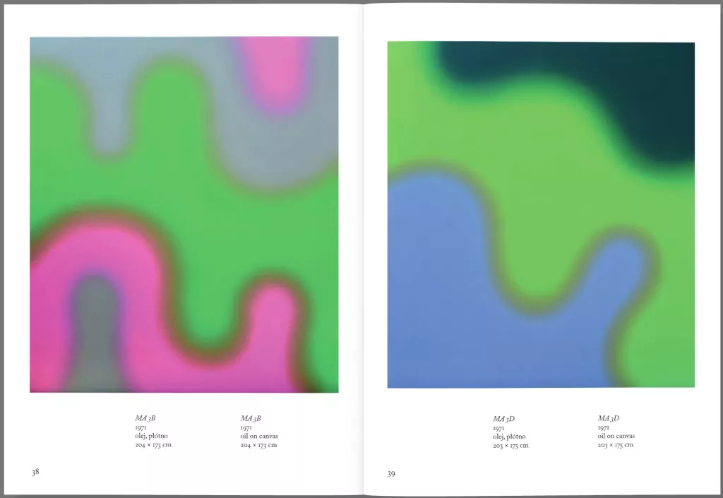 Fangor. Malarstwo - tantis.pl