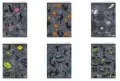 Zeszyt Symbols. A5/60K linia. 10 sztuk - tantis.pl