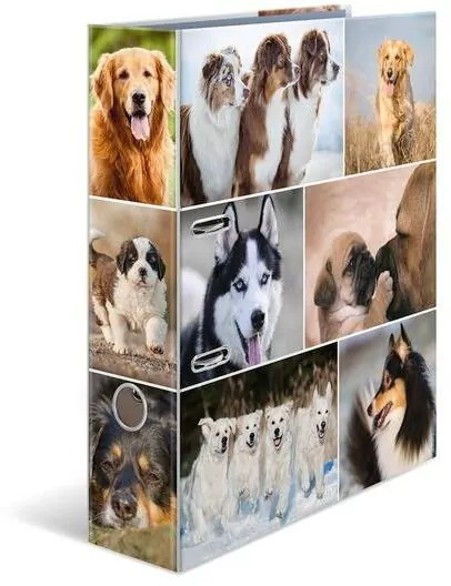 Segregator A4. Psy - tantis.pl