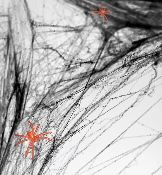 Pajęczyna Halloween czarny 60g - tantis.pl