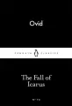 The Fall of Icarus - tantis.pl
