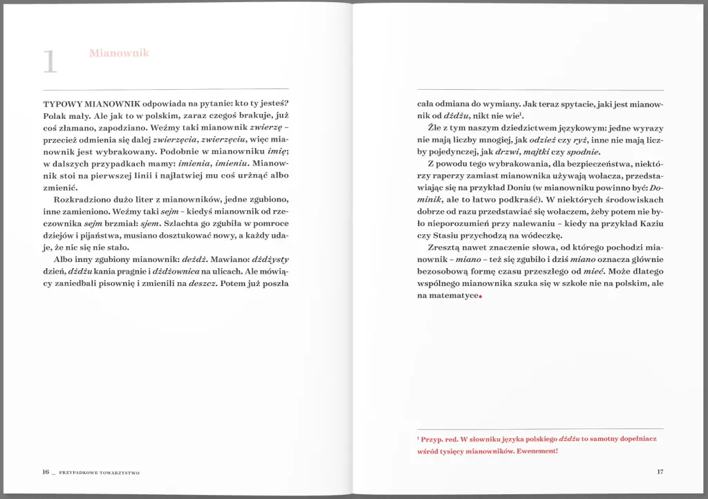 Bezecnik gramatyki polskiej - tantis.pl