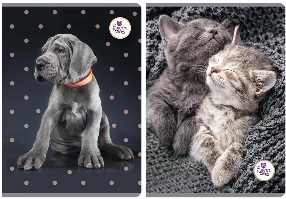 Zeszyt A5/60K linia. The Sweet Pets - tantis.pl