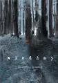 Wiedźmy - tantis.pl