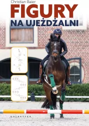 Figury na ujeżdżalni