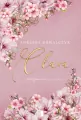 Clara - tantis.pl