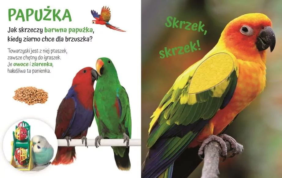 Pogłaszcz domowe zwierzątko. Przytulki - tantis.pl