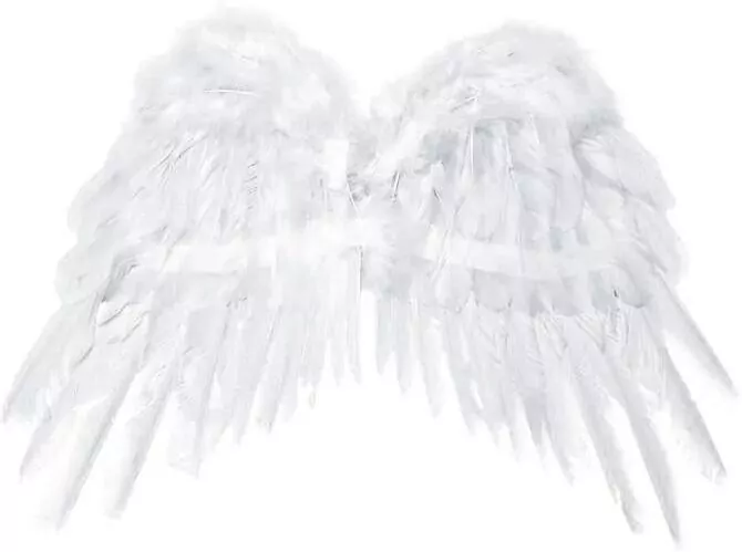 Skrzydła anioła 53x37cm - tantis.pl