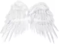 Skrzydła anioła 53x37cm - tantis.pl