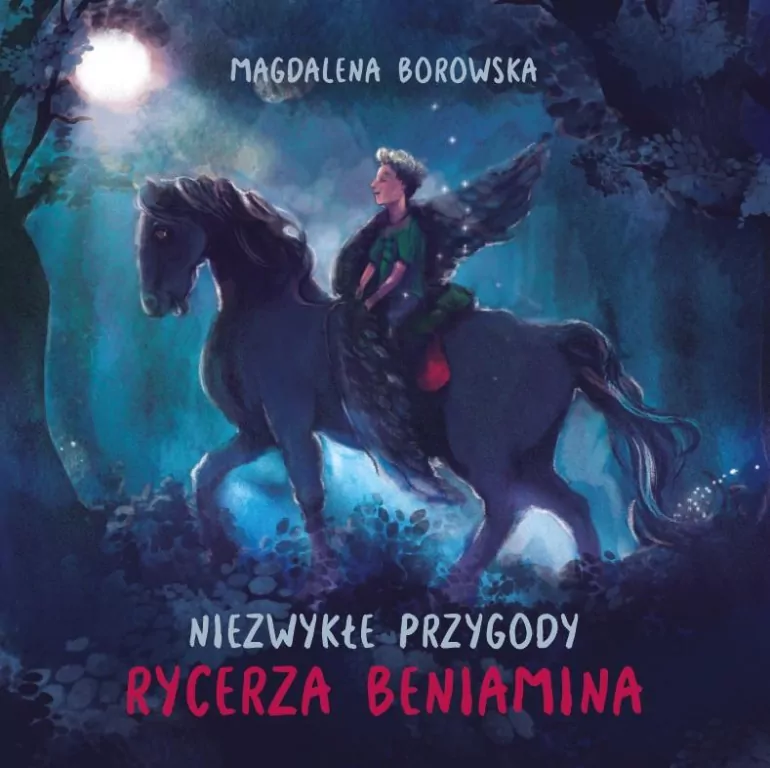 Niezwykłe przygody rycerza Beniamina - tantis.pl