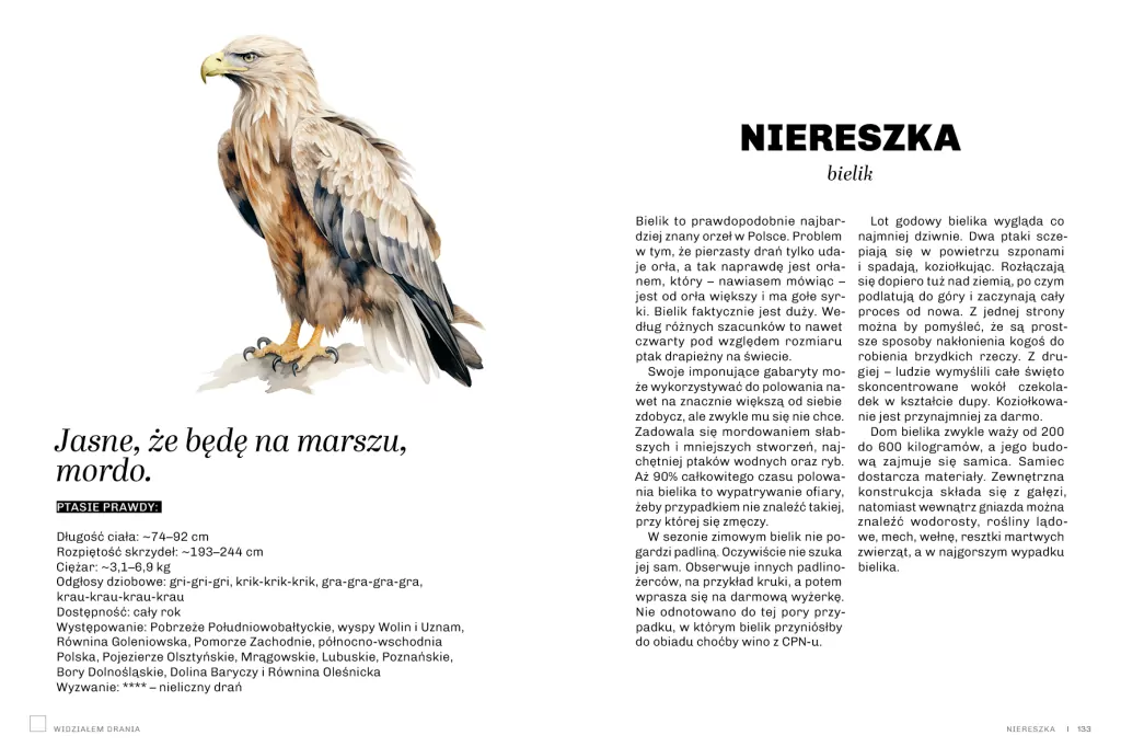 Głupie ptaki Polski. Przewodnik świadomego obserwatora - tantis.pl