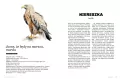 Głupie ptaki Polski. Przewodnik świadomego obserwatora - tantis.pl
