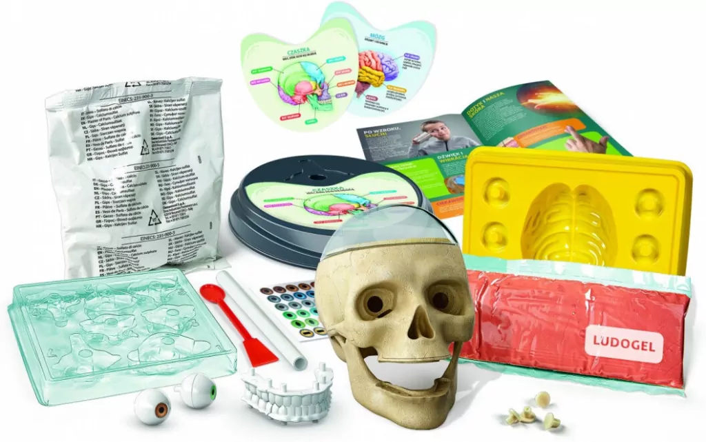 Zwariowana Anatomia. Naukowa zabawa - tantis.pl