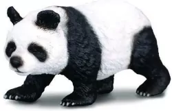 Panda wielka