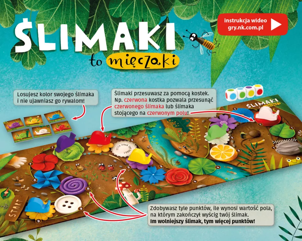 Ślimaki to mięczaki - tantis.pl