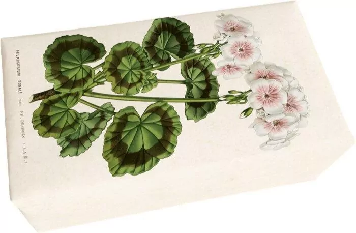 Mydło zapach pelargonii 200g - tantis.pl
