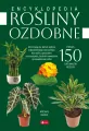 Rośliny ozdobne - tantis.pl