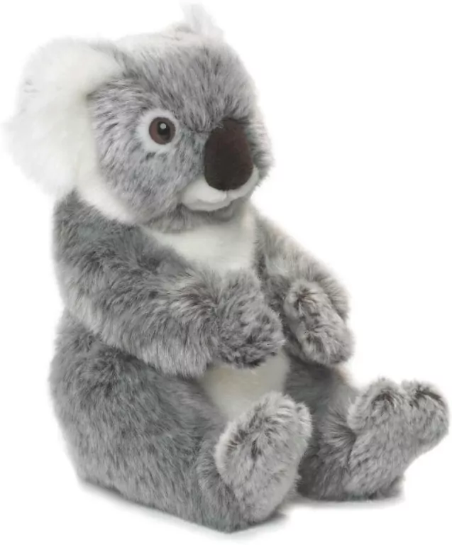 Koala 22 cm - tantis.pl