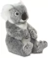 Koala 22 cm - tantis.pl