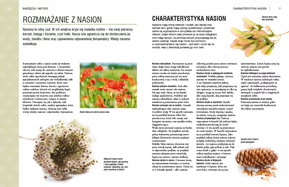 Rozmnażanie roślin. Przewodnik krok po kroku - tantis.pl