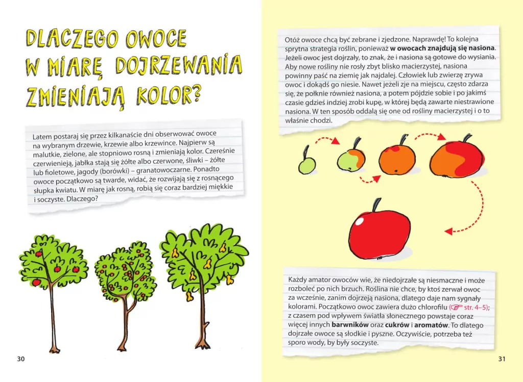 Świat roślin. Jak to działa? - tantis.pl