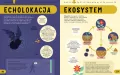 Encyklopedia STEM od A do Z. 100 naukowych słów... - tantis.pl