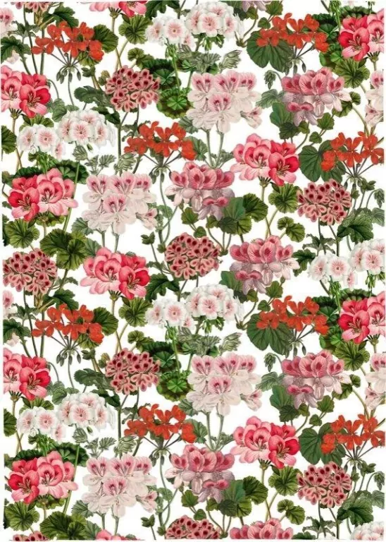 Ręcznik kuchenny - Pelargonia - tantis.pl