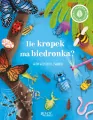 Ile kropek ma biedronka? Wiem wszystko o owadach - tantis.pl