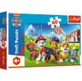 Puzzle 60 Psi Patrol na polanie - tantis.pl