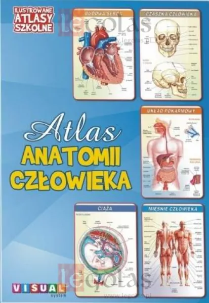 Atlas anatomii człowieka - tantis.pl