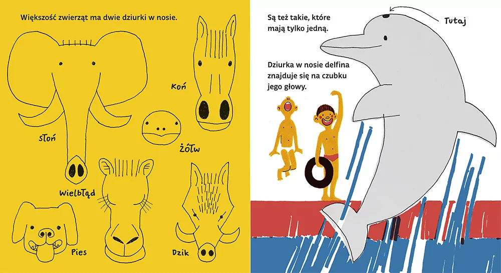 Dziurki w nosie - tantis.pl
