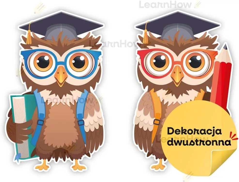 Dekoracje szkolne - Duże sowy w beretach - tantis.pl