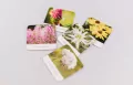 Flora Polski. Memory - tantis.pl