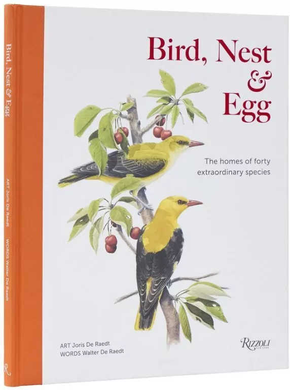 Bird, Nest & Egg - tantis.pl